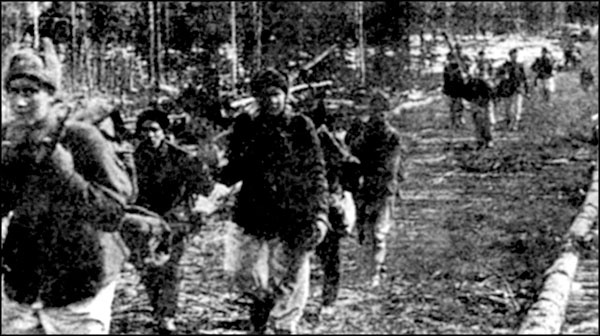 Иллюстрация к книге — &quot;Крестовый поход на Восток&quot;. Гитлеровская Европа против России [_0123.jpg]