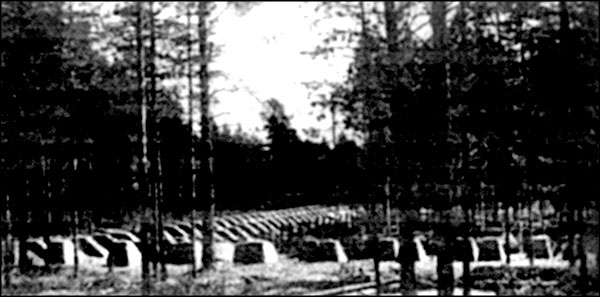 Иллюстрация к книге — "Крестовый поход на Восток". Гитлеровская Европа против России [_194.jpg]