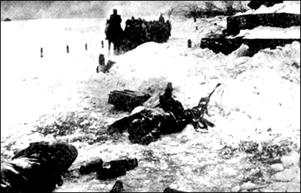 Иллюстрация к книге — &quot;Крестовый поход на Восток&quot;. Гитлеровская Европа против России [_3591.jpg]