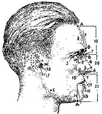 Иллюстрация к книге — Госбесы. Кровавая гэбня и &quot;живой труп&quot; [i_030.jpg]