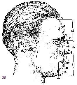 Иллюстрация к книге — Клон Ельцина, или Как разводят народы [i_028.jpg]