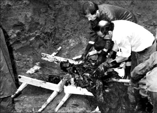 Иллюстрация к книге — Подонки истории. Самая зловещая тайна XX века [i_006.jpg]