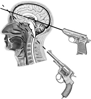 Иллюстрация к книге — Подонки истории. Самая зловещая тайна XX века [i_007.jpg]