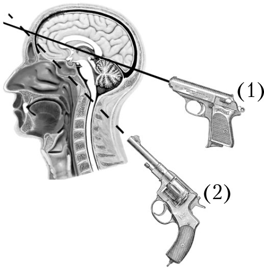 Иллюстрация к книге — Позор Кремля. Как Путин унижает Россию [Autogen_eBook_id5.jpg]