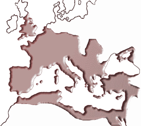 Иллюстрация к книге — Великая шахматная доска. Господство Америки и его геостратегические императивы [m02.jpg]