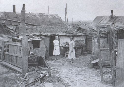 Иллюстрация к книге — Битва за Донбасс. Миус-фронт. 1941-1943 [i_023.jpg]