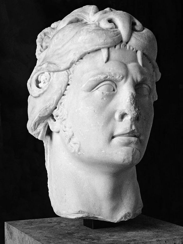 Иллюстрация к книге — Митридат против Римских легионов. Это наша война [Autogen_eBook_id0.jpg]