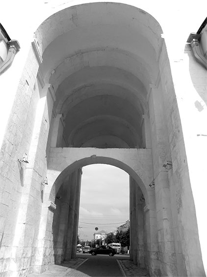 Иллюстрация к книге — Русь меж двух огней – против Батыя и "псов-рыцарей" [i_007.jpg]