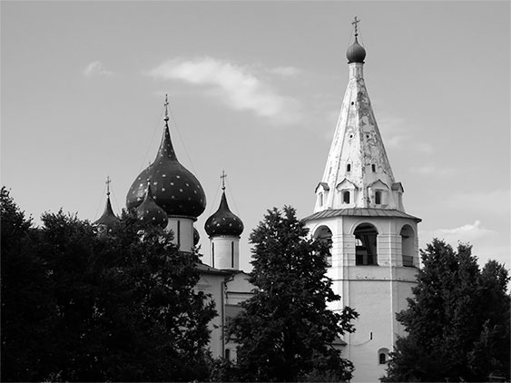 Иллюстрация к книге — Русь меж двух огней – против Батыя и "псов-рыцарей" [i_010.jpg]