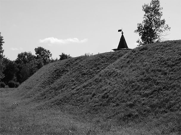 Иллюстрация к книге — Русь меж двух огней – против Батыя и "псов-рыцарей" [i_011.jpg]