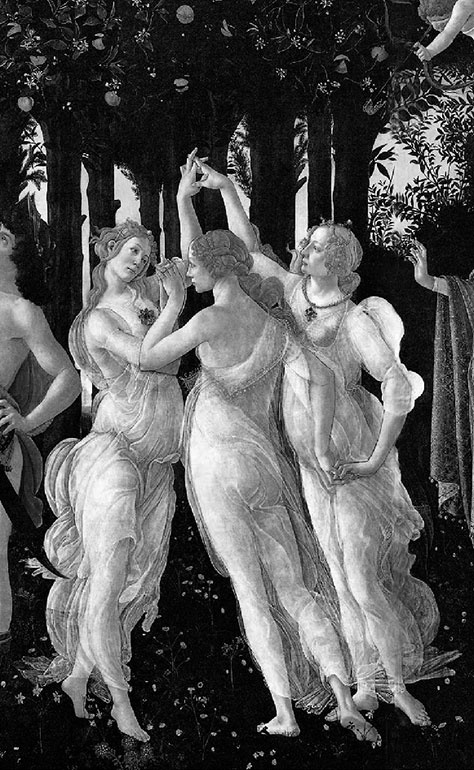 Иллюстрация к книге — Великие Борджиа. Гении зла [i_019.jpg]