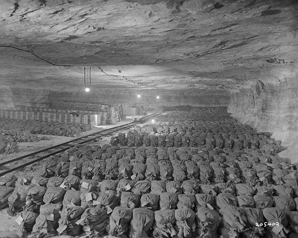 Иллюстрация к книге — Серый волк. Бегство Адольфа Гитлера [_8.jpg]