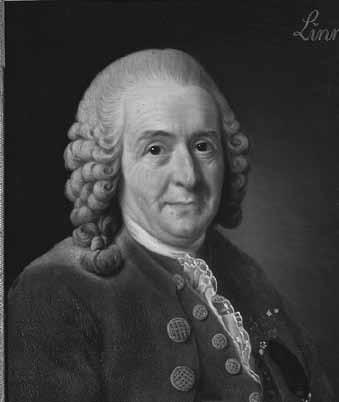 Иллюстрация к книге — Всемирная история в лицах [i_146.jpg]