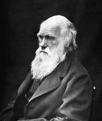 Иллюстрация к книге — Всемирная история в лицах [i_182.jpg]