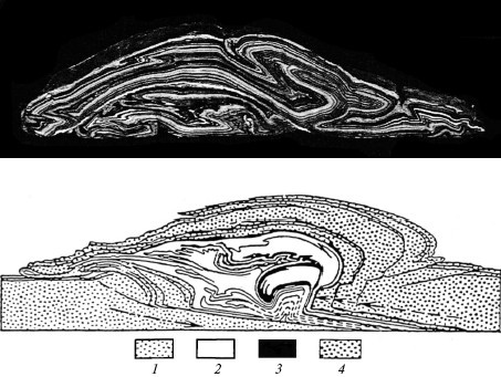 Иллюстрация к книге — Верхом на бомбе. Судьба планеты Земля и ее обитателей [i_021.jpg]