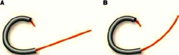 Иллюстрация к книге — Между Сциллой и Харибдой. Последний выбор Цивилизации [i_004.jpg]
