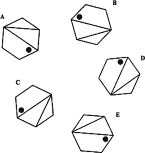 Иллюстрация к книге — Между Сциллой и Харибдой. Последний выбор Цивилизации [i_005.jpg]