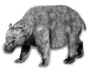 Иллюстрация к книге — Предсказание прошлого. Расцвет и гибель допотопной цивилизации [i_017.jpg]