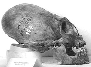 Иллюстрация к книге — Предсказание прошлого. Расцвет и гибель допотопной цивилизации [i_028.jpg]