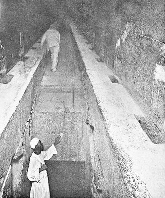 Иллюстрация к книге — Предсказание прошлого. Расцвет и гибель допотопной цивилизации [i_061.jpg]