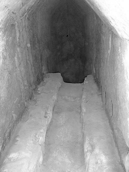 Иллюстрация к книге — Предсказание прошлого. Расцвет и гибель допотопной цивилизации [i_065.jpg]