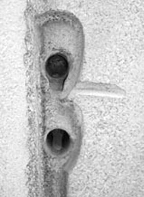 Иллюстрация к книге — Предсказание прошлого. Расцвет и гибель допотопной цивилизации [i_074.jpg]