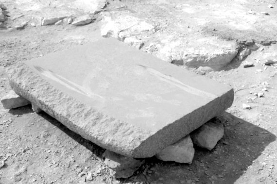 Иллюстрация к книге — Предсказание прошлого. Расцвет и гибель допотопной цивилизации [i_075.jpg]