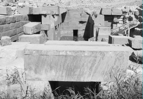 Иллюстрация к книге — Предсказание прошлого. Расцвет и гибель допотопной цивилизации [i_076.jpg]