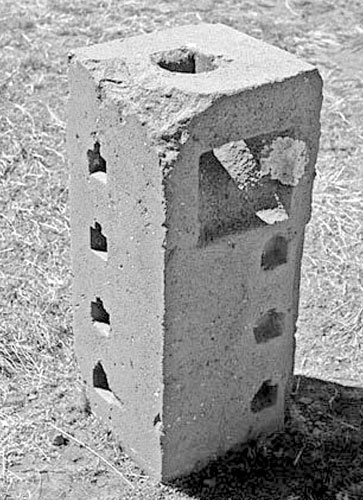 Иллюстрация к книге — Предсказание прошлого. Расцвет и гибель допотопной цивилизации [i_109.jpg]