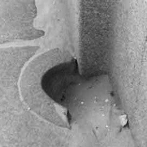 Иллюстрация к книге — Предсказание прошлого. Расцвет и гибель допотопной цивилизации [i_114.jpg]