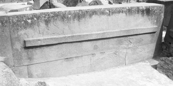 Иллюстрация к книге — Предсказание прошлого. Расцвет и гибель допотопной цивилизации [i_117.jpg]