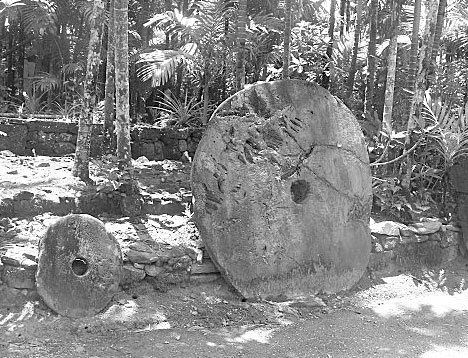 Иллюстрация к книге — Предсказание прошлого. Расцвет и гибель допотопной цивилизации [i_123.jpg]