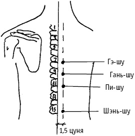 Иллюстрация к книге — Большой атлас целительных точек. Китайская медицина на страже здоровья и долголетия [_101.jpg]