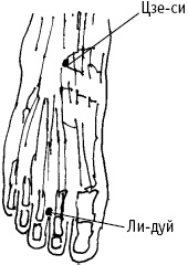 Иллюстрация к книге — Большой атлас целительных точек. Китайская медицина на страже здоровья и долголетия [_106.jpg]