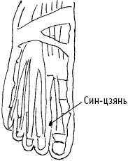 Иллюстрация к книге — Большой атлас целительных точек. Китайская медицина на страже здоровья и долголетия [_115.jpg]