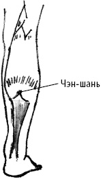 Иллюстрация к книге — Большой атлас целительных точек. Китайская медицина на страже здоровья и долголетия [_121.jpg]