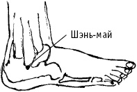 Иллюстрация к книге — Большой атлас целительных точек. Китайская медицина на страже здоровья и долголетия [_122.jpg]