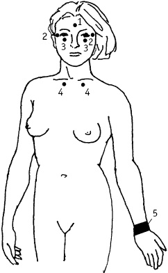 Иллюстрация к книге — Большой атлас целительных точек. Китайская медицина на страже здоровья и долголетия [_142.jpg]