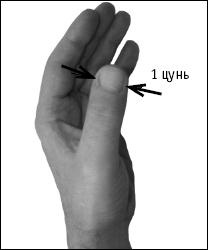 Иллюстрация к книге — Большой атлас целительных точек. Китайская медицина на страже здоровья и долголетия [_150.jpg]