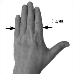 Иллюстрация к книге — Большой атлас целительных точек. Китайская медицина на страже здоровья и долголетия [_151.jpg]