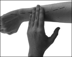 Иллюстрация к книге — Большой атлас целительных точек. Китайская медицина на страже здоровья и долголетия [_154.jpg]