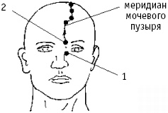 Иллюстрация к книге — Большой атлас целительных точек. Китайская медицина на страже здоровья и долголетия [_163.jpg]