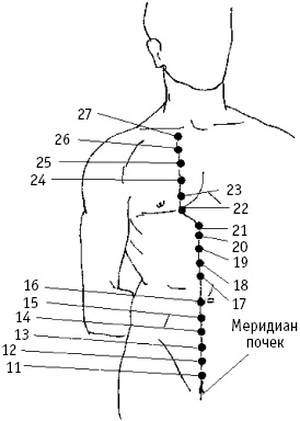 Иллюстрация к книге — Большой атлас целительных точек. Китайская медицина на страже здоровья и долголетия [_167.jpg]