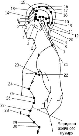 Иллюстрация к книге — Большой атлас целительных точек. Китайская медицина на страже здоровья и долголетия [_170.jpg]