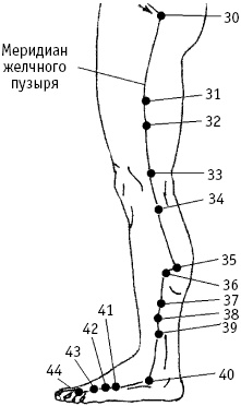 Иллюстрация к книге — Большой атлас целительных точек. Китайская медицина на страже здоровья и долголетия [_171.jpg]