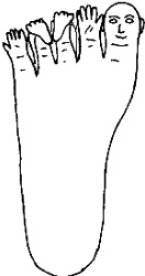 Иллюстрация к книге — Большой атлас целительных точек. Китайская медицина на страже здоровья и долголетия [_175.jpg]