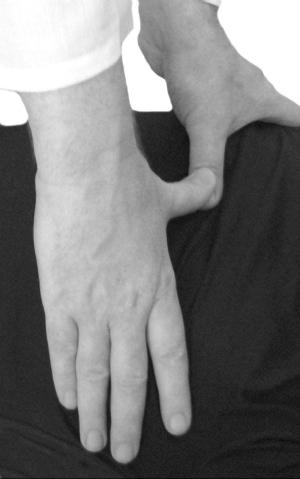 Иллюстрация к книге — Большой атлас целительных точек. Китайская медицина на страже здоровья и долголетия [_2.jpg]