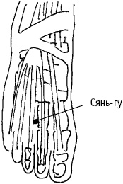 Иллюстрация к книге — Большой атлас целительных точек. Китайская медицина на страже здоровья и долголетия [_20.jpg]