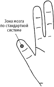 Иллюстрация к книге — Большой атлас целительных точек. Китайская медицина на страже здоровья и долголетия [_201.jpg]