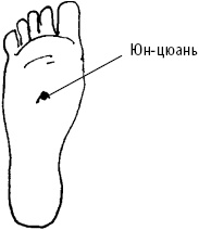 Иллюстрация к книге — Большой атлас целительных точек. Китайская медицина на страже здоровья и долголетия [_21.jpg]